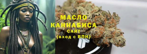МДПВ Бородино
