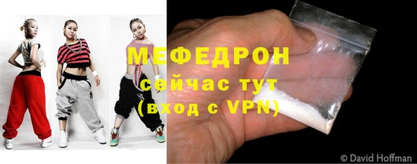 МДПВ Бородино
