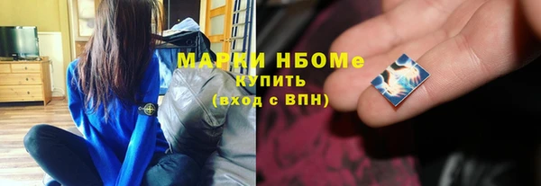 МДПВ Бородино