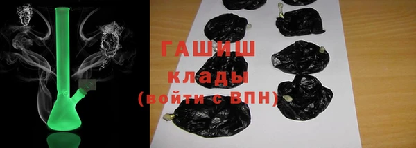 МДПВ Бородино