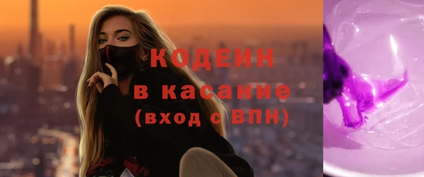 МДПВ Бородино
