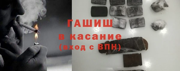 МДПВ Бородино