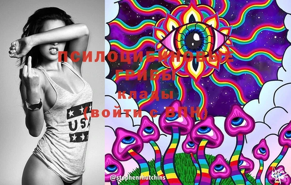 молекула духа Бронницы