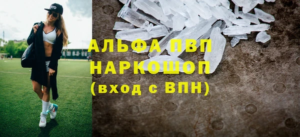 МДПВ Бородино
