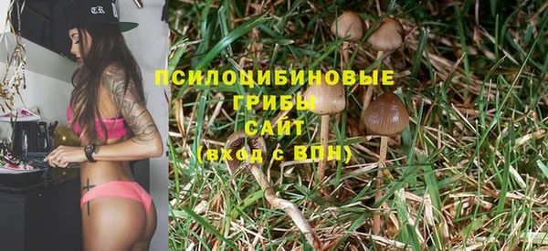 молекула духа Бронницы