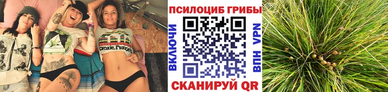 Галлюциногенные грибы MAGIC MUSHROOMS  дарнет шоп  Волчанск 